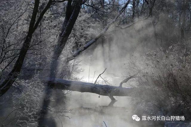 乐道院潍县集中营博物馆深入开展儿童国际友好主题教育