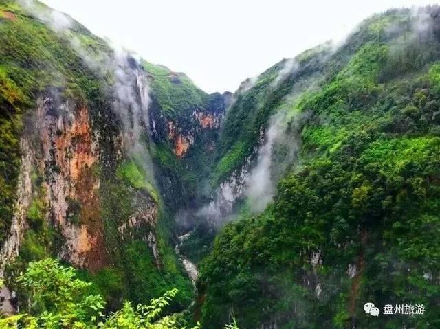 两会时间基层代表说宁夏人大代表周娟 建议加大对乡村振兴特色产业支持力度 推动特色产业做大做强