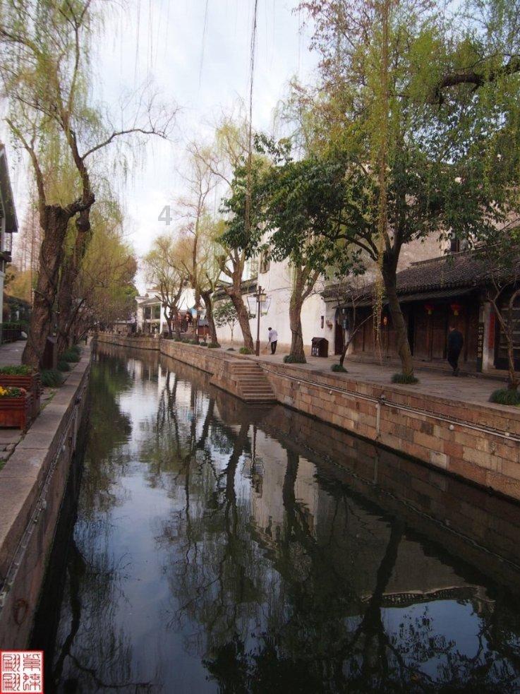 黄豆粒粒是宝，教你秘制新吃法，不煮豆浆不熬粥，出锅全家流口水游戏画面