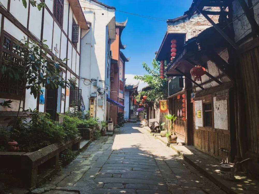 春雨直播app